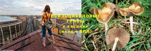 ECSTASY Менделеевск