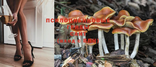 гидропоника Семилуки